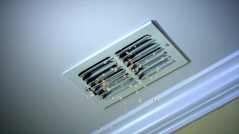 Best Commercial Air Duct Cleaning  in Summit, MS